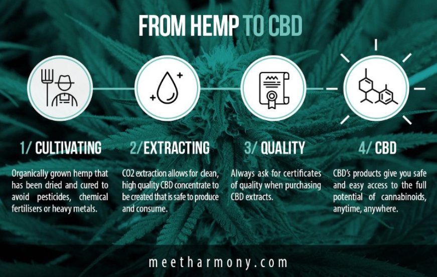 hemp, cbd