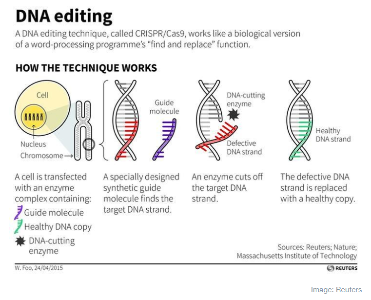 DNA editing, genomics